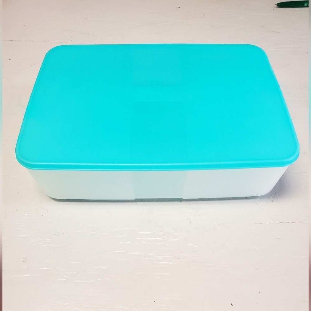 Tupperware Container